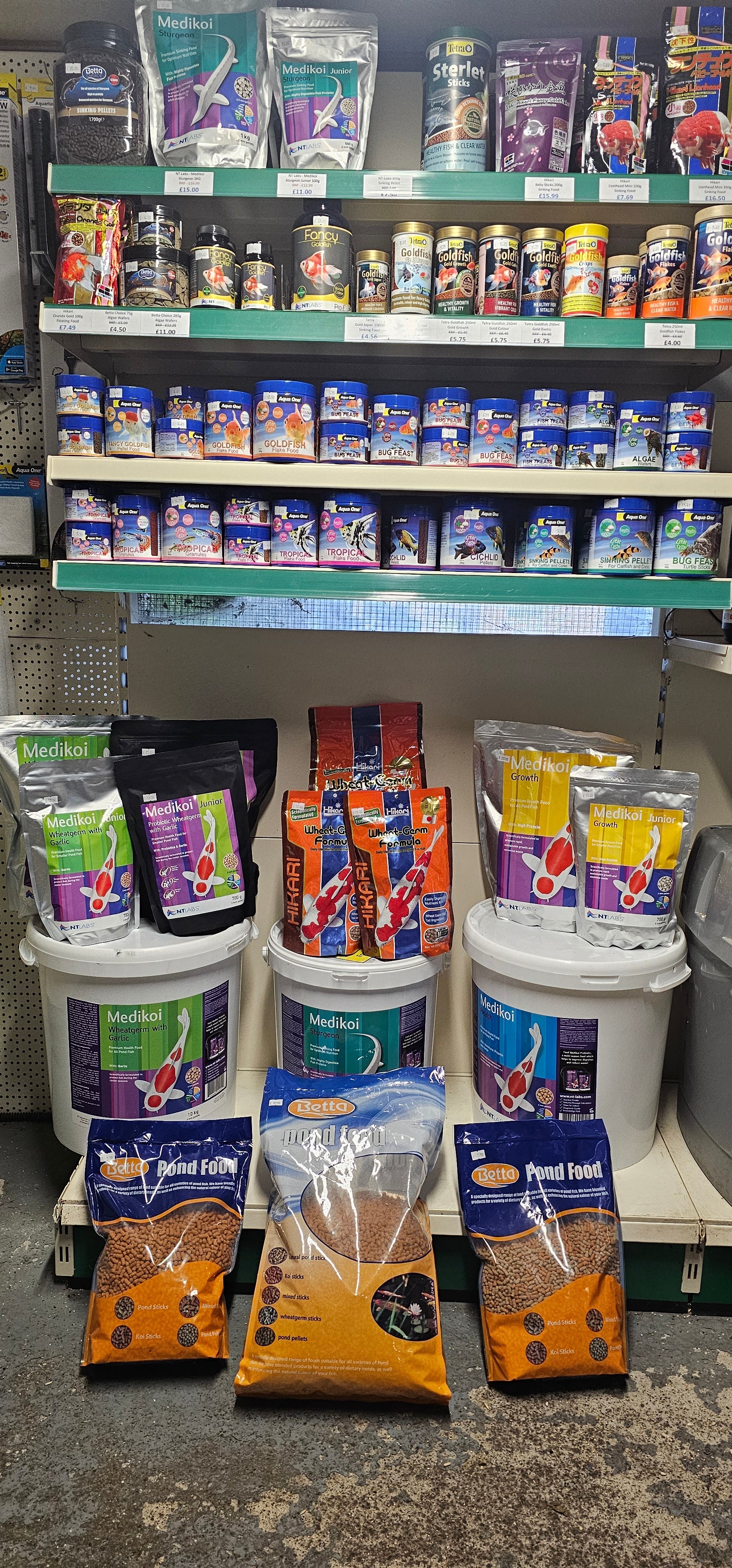 Fish Food - Newlyn-pets