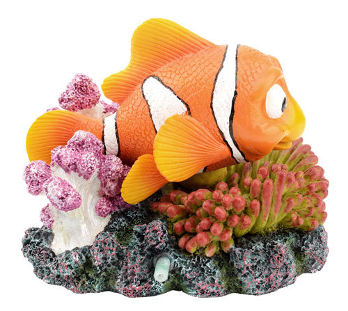 Cute Clown Fish 13x11x10cm