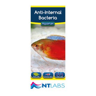 Anti - Internal Bacteria - Aquarium - Newlyn - pets - NT Labs - 733809004794