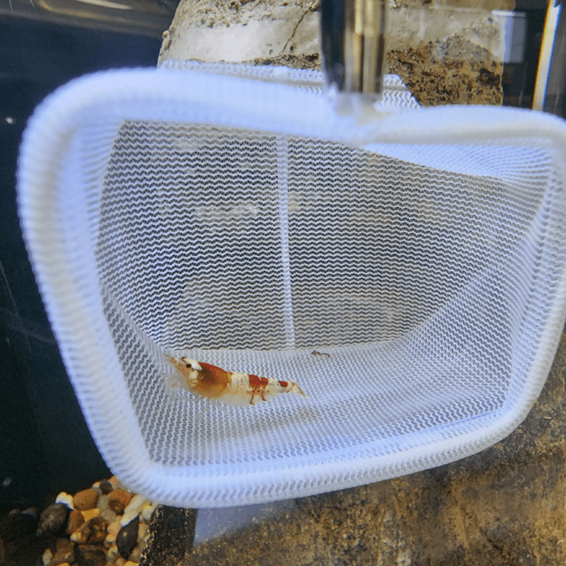 Aqua One Shrimp Net - Newlyn - pets - Aqua One - 