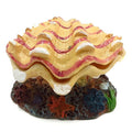 Clam Shell Peaches And Cream 10x10x8cm - Newlyn - pets - Aqua One - 9325136183702