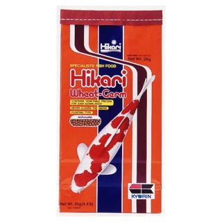Hikari Wheat - Germ Large - Newlyn - pets - Hikari - 042055064705