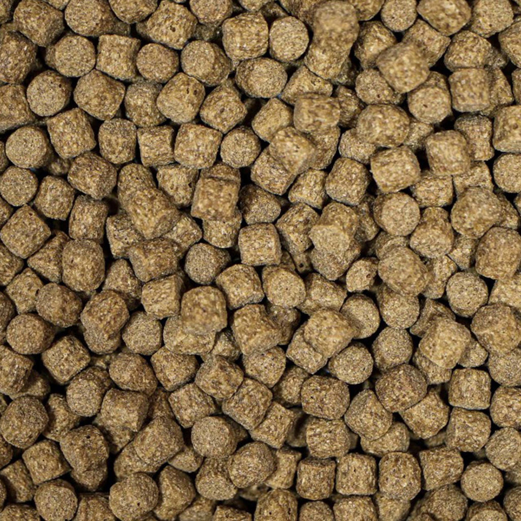 Medikoi Growth Food - Newlyn - pets - NT Labs - 733809003605