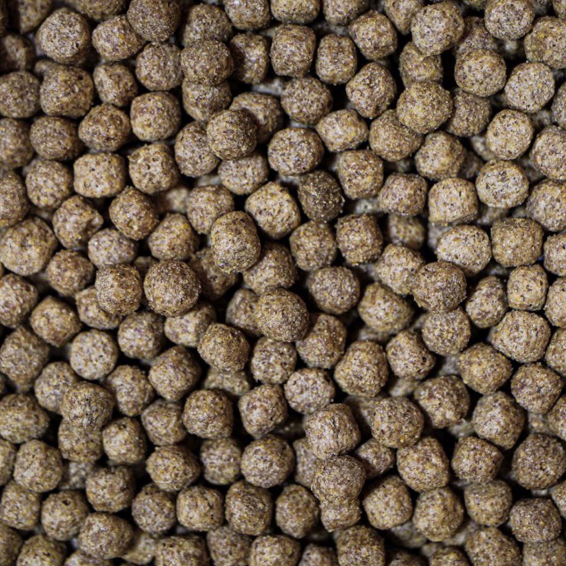 Medikoi Wheatgerm with Garlic - Newlyn - pets - NT Labs - 733809003551