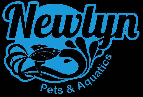 Newlyn-pets