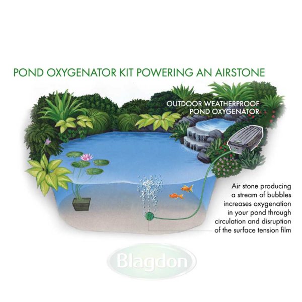 Pond Oxygenator Kit With Single Air Stone - Newlyn - pets - Blagdon - 755349028719
