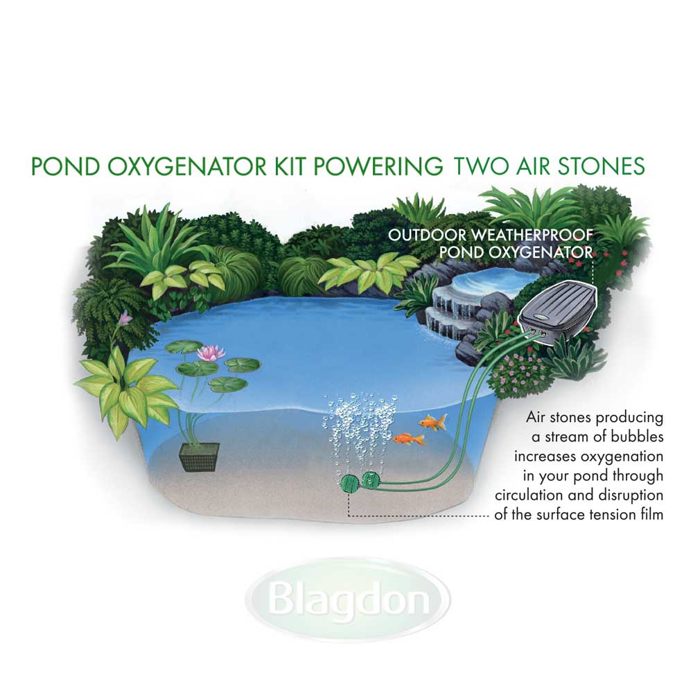 Pond Oxygenator Kit With Twin Air Stone - Newlyn - pets - Blagdon - 755349028726