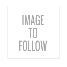 Red Goldfish (Red Comet) 3 - 4" (Picked at random) - Newlyn - pets - Newlyn - pets - 