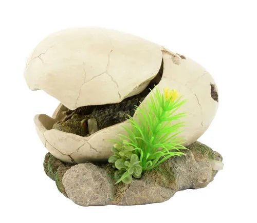 Rex Baby Dino Egg 11x10x8cm - Newlyn - pets - Aqua One - 