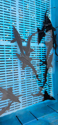Siberian Sturgeon 8 - 10" Live Fish - Newlyn - pets - Newlyn - pets - 