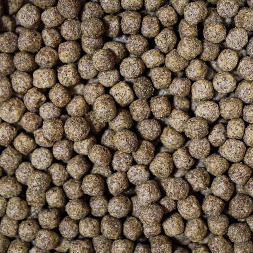 Medikoi Wheatgerm with Garlic