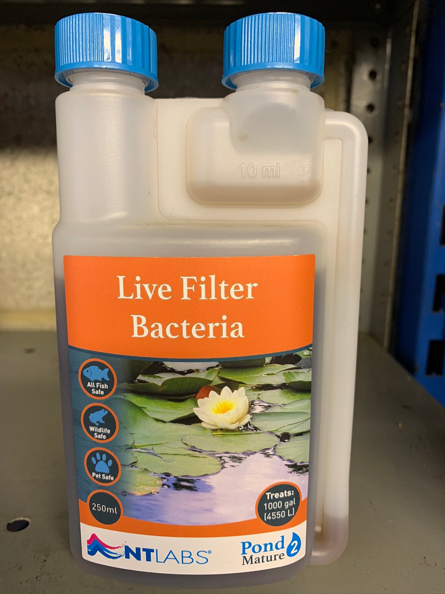 Live Filter Bacteria - Mature - Pond