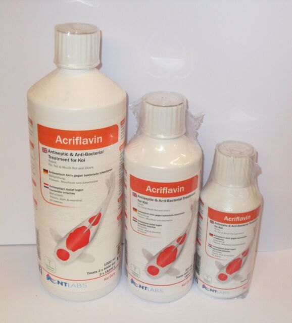 Acriflavin - Koi Care - Newlyn - pets - NT Labs - 733809002202