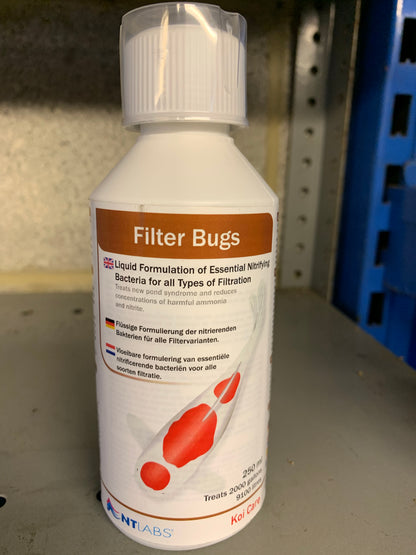 Filter Bugs - Koi Care