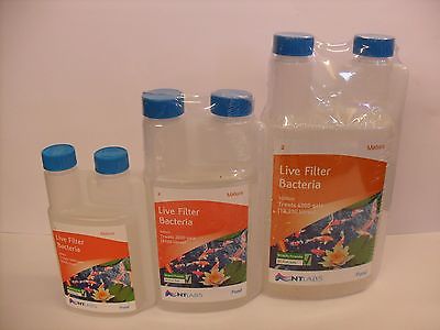 Live Filter Bacteria - Mature - Pond