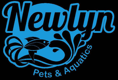 Newlyn Pets Online Gift Card